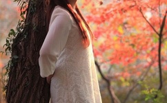 WSC为什么虐杀QRL天涯